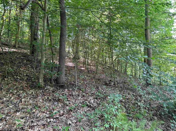 LOT 3 E Run Cir, Four States, WV 26572