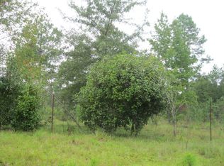 149 Creekside Dr, Collins, GA 30421