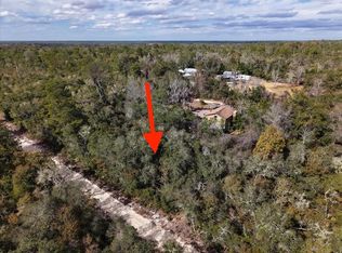 NE 233rd Ln LOT 9, Fort Mc Coy, FL 32134