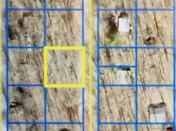 30 Bluejay Ln, Carbondale, IL 62902