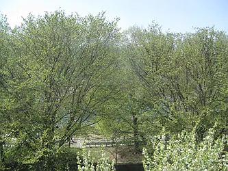 Rented by Kleier Residential