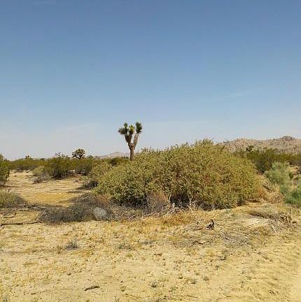 5th image of 0 E 157 Ste Avenue
