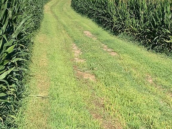 4th image of Benson Rd