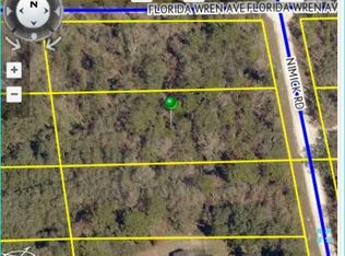 18043 Nimick Rd, Weeki Wachee, FL 34614