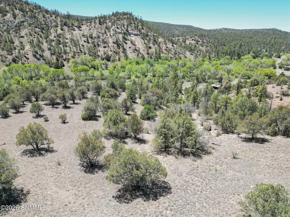 LOT 5 Highway 35, Mimbres, NM 88049