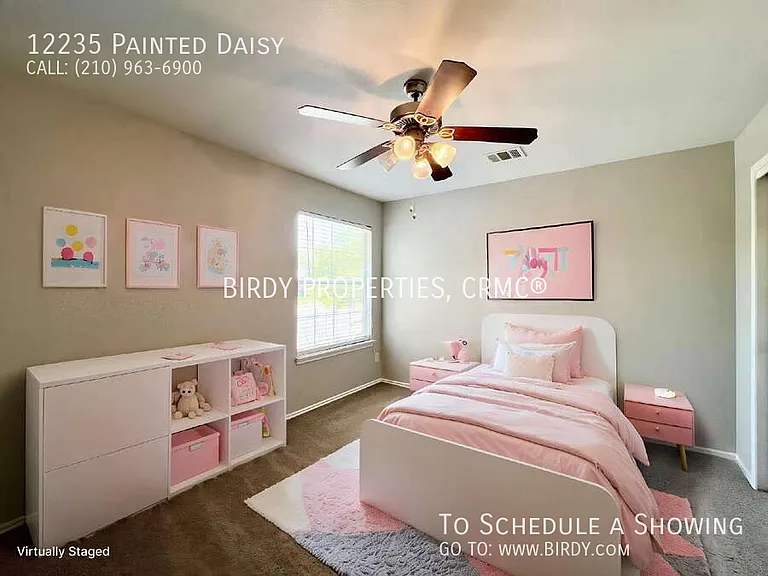 12235 Painted Daisy — Photo 7