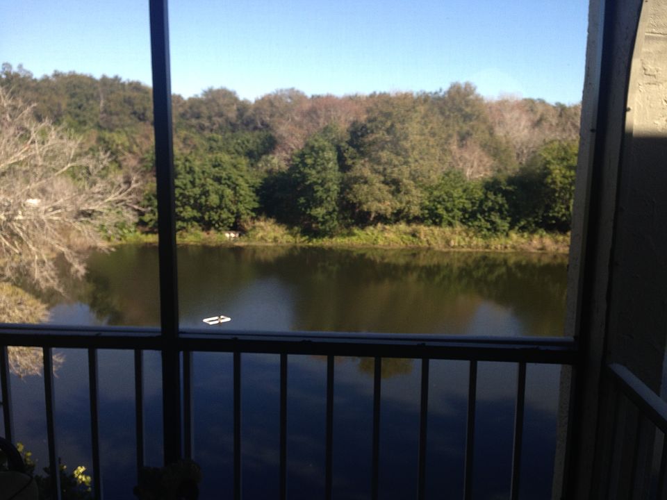 1st image of 2625 State Road 590 APT 1234