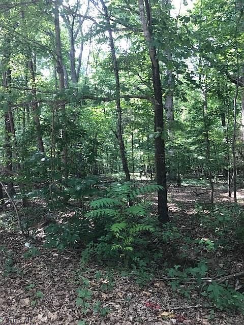 2nd image of 1707 Townsend Forest Ln