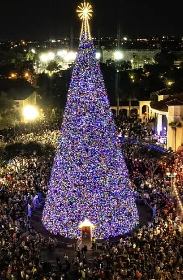 Downtown Delray Beach Christmas tree lighting