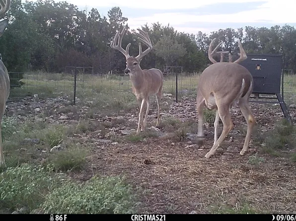 15 Contrary Crk, Rocksprings, TX 78880