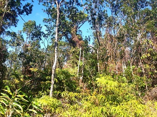 1st image of Kokokahi Lot 57