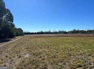 129 Gaultney Horne Rd, Reynolds, GA 31076