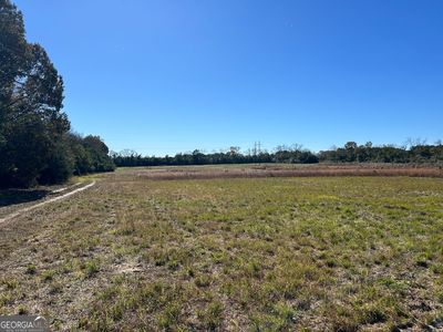 129 Gaultney Horne Rd, Reynolds, GA, 31076