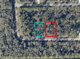919 Alcalde St E, Lehigh Acres, FL 33974