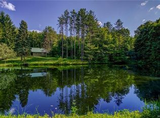 11515 Lost Nation Rd, Bliss, NY 14024