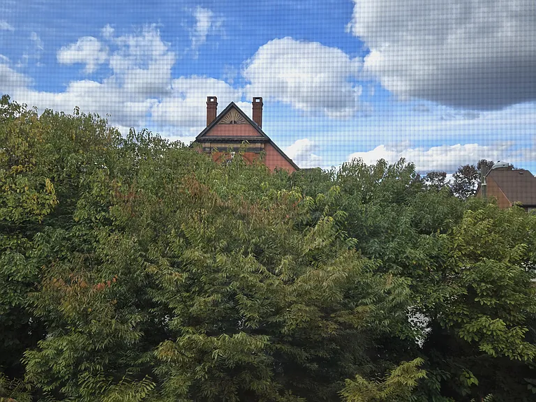 514 Saint Mary St — Photo 14
