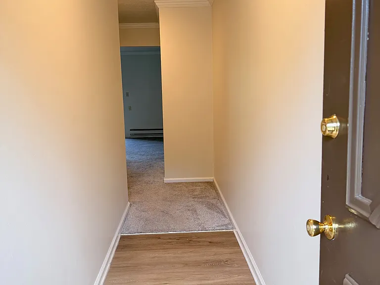 Entrance hallway, new flooring.