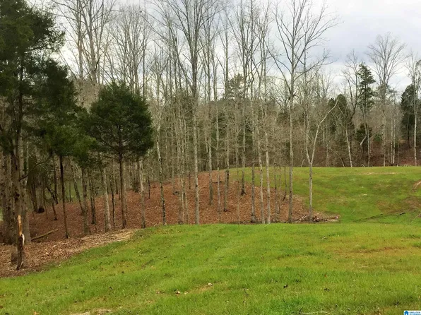 2 Truman Aldrich Pkwy #17, West Blocton, AL 35184