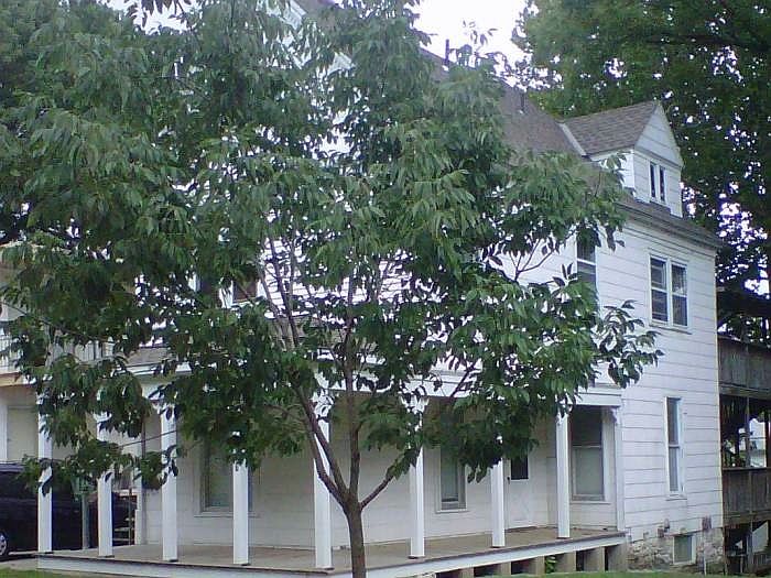 1st image of 4107 McGee St