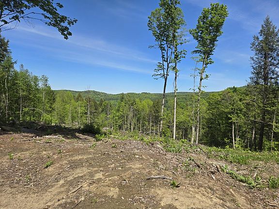 5th image of 00 VT Rte 12 Lot 1