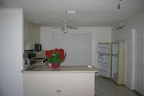 Kitchen View 2