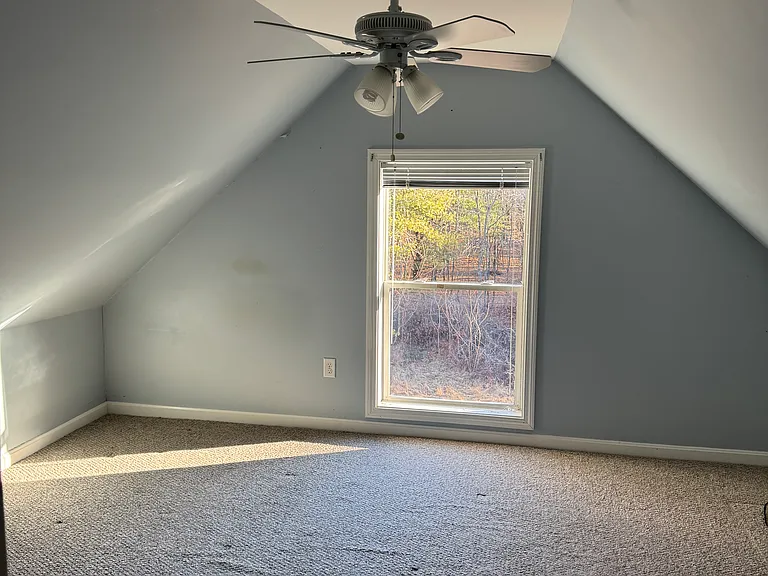 Beehive Dr — Photo 9