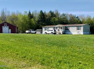 597 Guinea Rd, Middleburgh, NY 12122