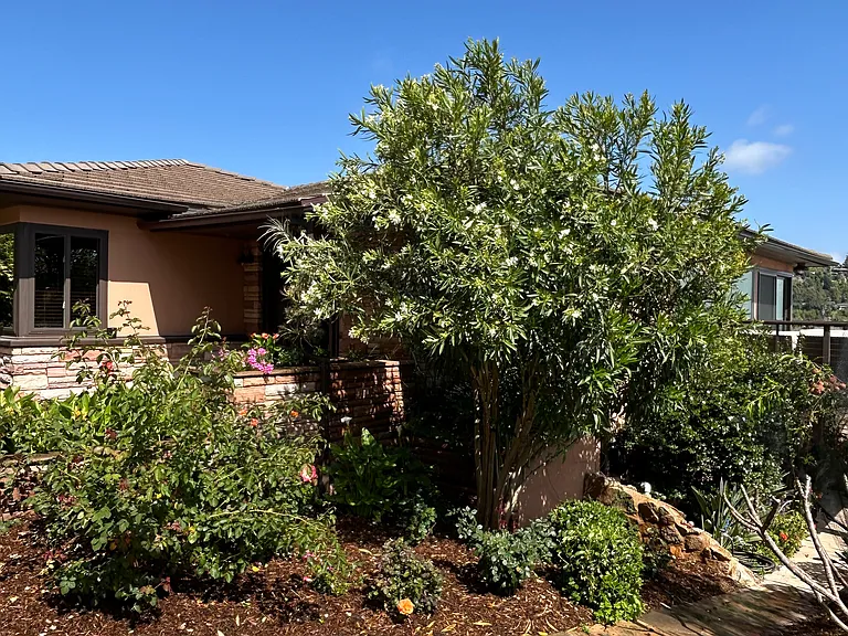 Ridgecrest Dr — Photo 76