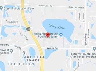 16522 Cayman Dr, Tampa, FL 33624