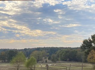 11993 Mink Rd, Pittsburg, TX 75686