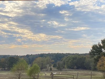 11993 Mink Rd, Pittsburg, TX, 75686