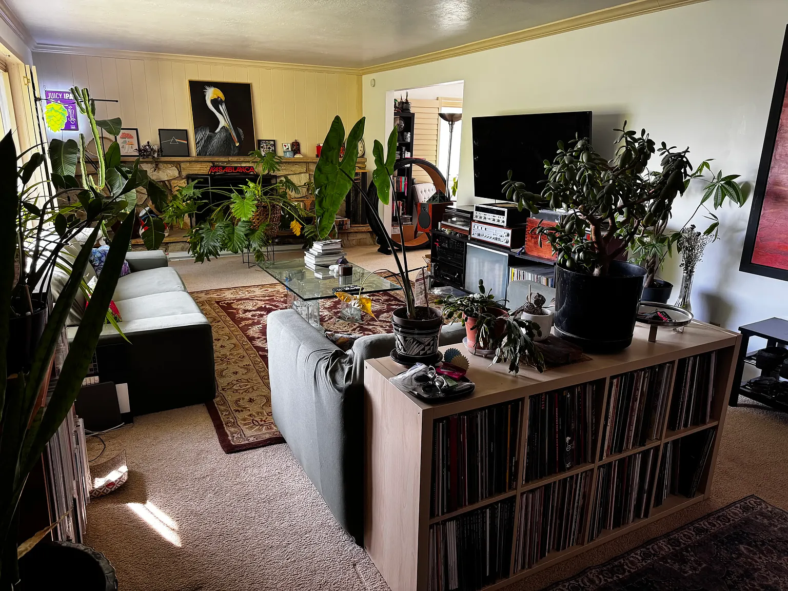 5 bed, 2.5 bath, $825 — Photo 3