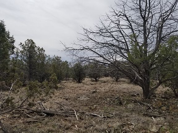 4th image of 3519 W Yukon Dr
