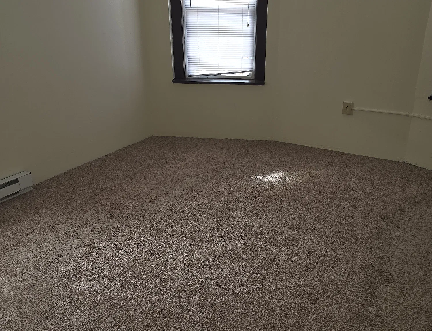 2 bed, 1440 sqft, $1,150 — Photo 4