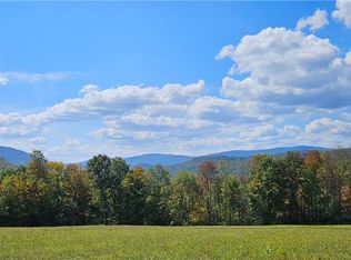 161 N Montgomery Hollow Rd, Roxbury, NY 12474