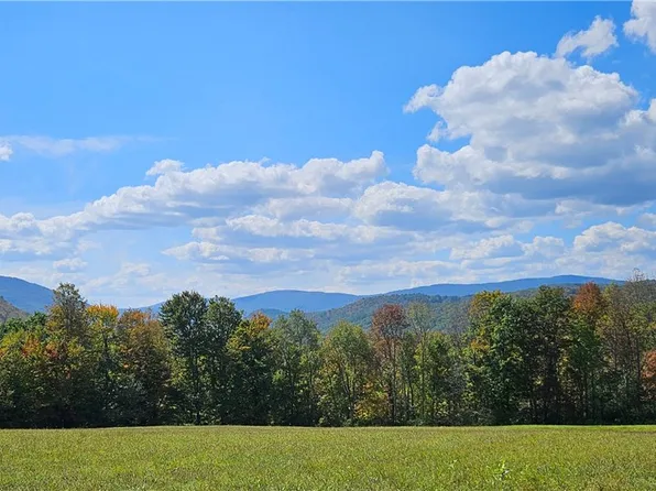 161 N Montgomery Hollow Rd, Roxbury, NY 12474