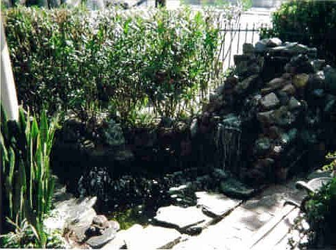 Pond