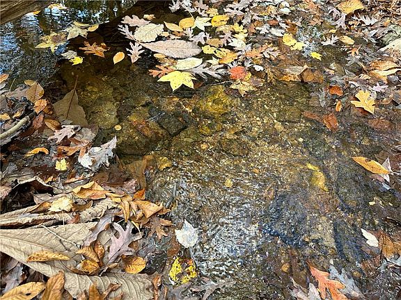 5th image of 1806 Browning Rd