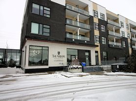 555 William Graham Dr