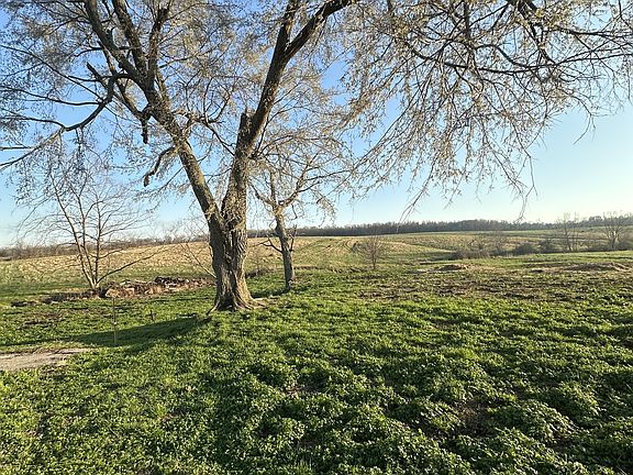 4th image of 46 Caps Rd