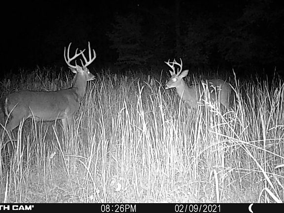 2nd image of Okeewemee Rd