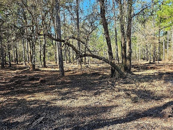 4th image of 0 Crawford Ln