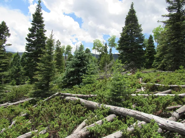 LOT 103 Valley Vista Rd, La Veta, CO 81055
