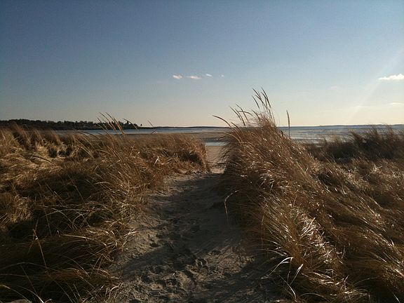 Path to the Beach