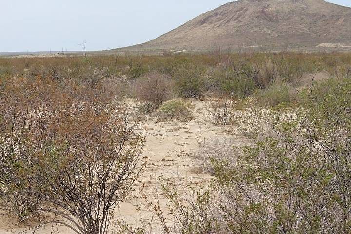 2nd image of Tr4528 Terlingua Rnch