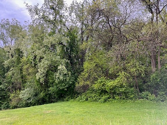 4th image of 0 Cowan Rd