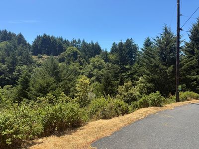 60 Spring Rd, Whitethorn, CA, 95589