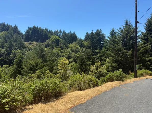 60 Spring Rd, Whitethorn, CA 95589
