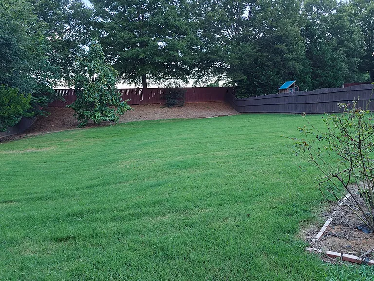 Big, Flat, Fenced Backyard