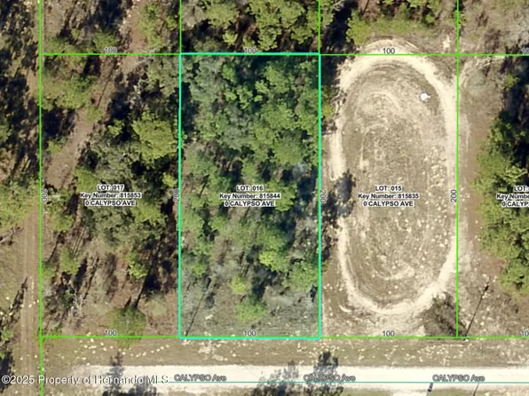 LOT 16 Calypso Ave, Brooksville, FL 34614